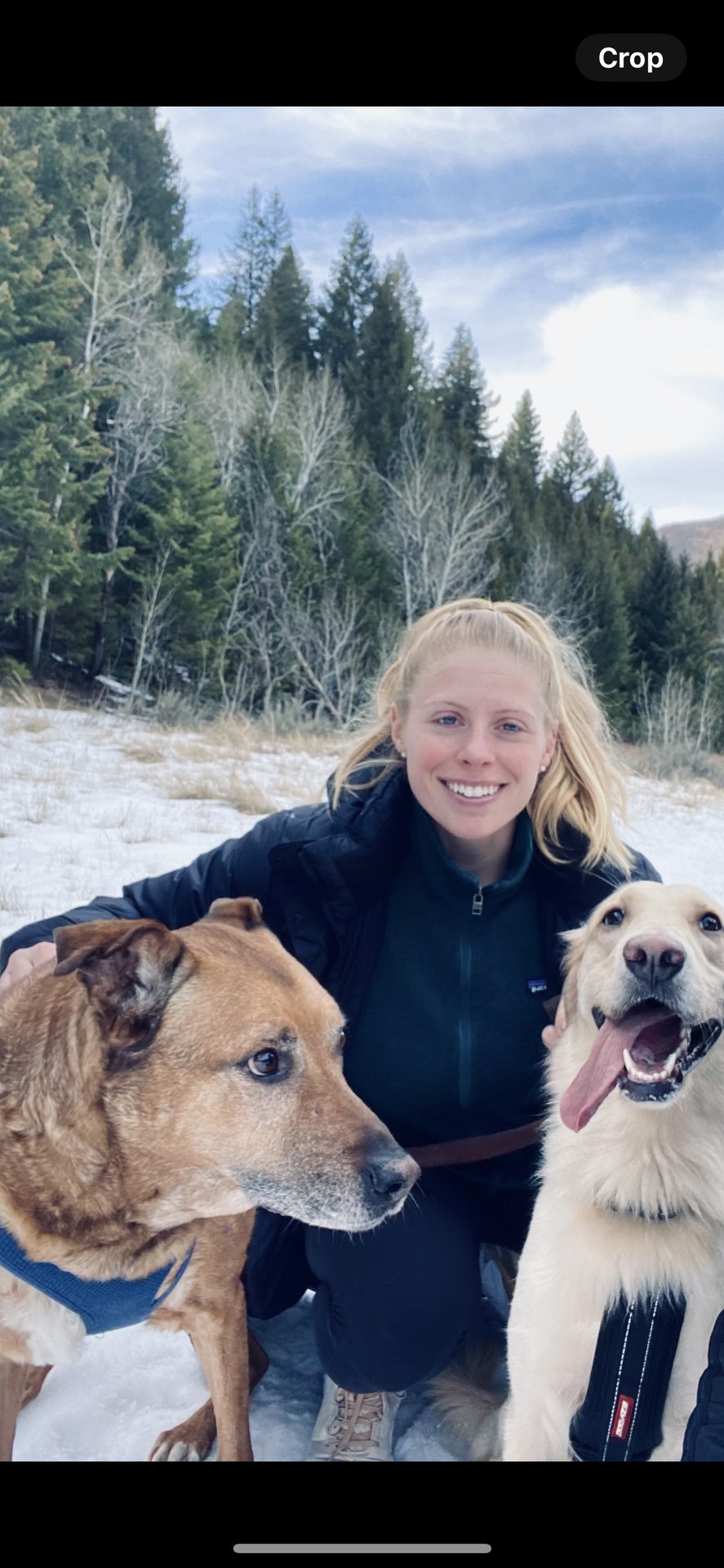 Madrid, Valencia, Sevilla, San Sebastián, Spain