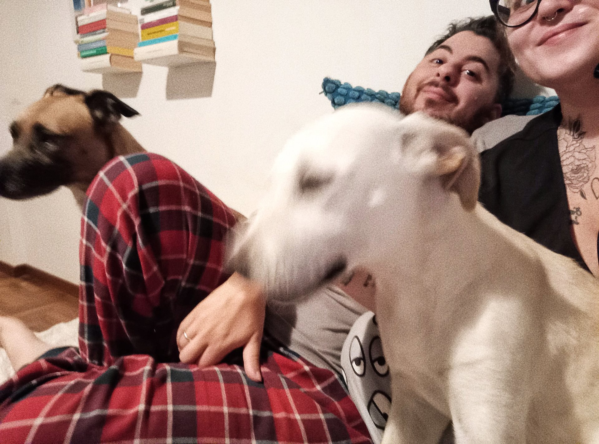 France โข Germany +9 more